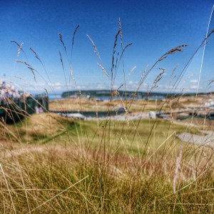 Photo Jun 20, 12 20 18 PM