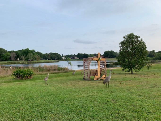 MNpjbXknSSyNrhq%kh5MtQ