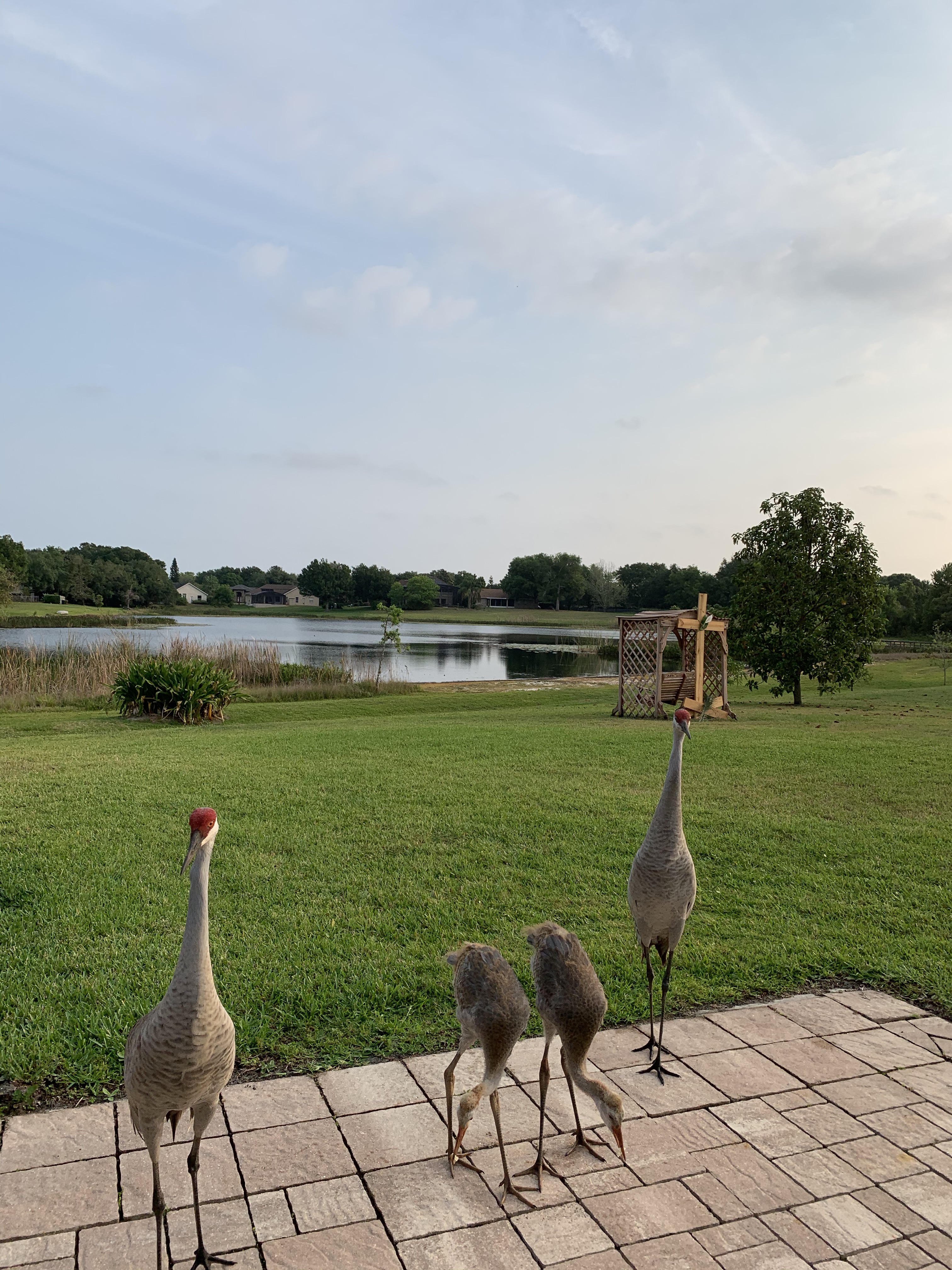 PTPUWb5%SA6J3v48syrMcA